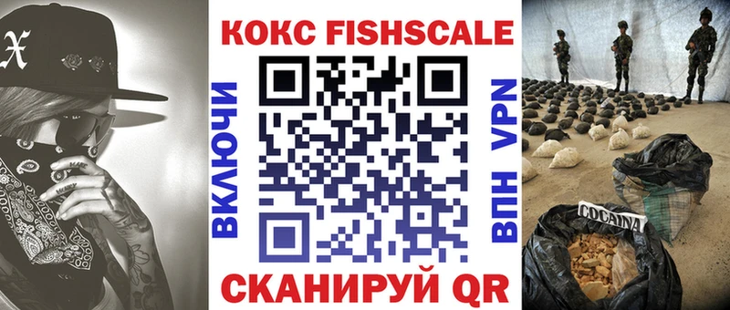 Купить закладки  Кремёнки  COCAIN FishScale 