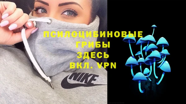 ешки Горняк