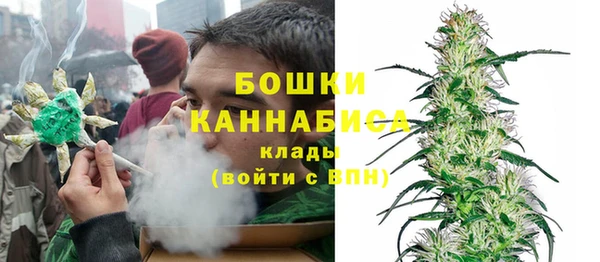 ешки Горняк